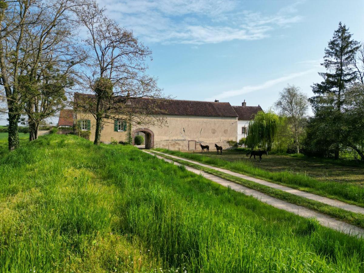 הוילה Brienon-sur-Armançon Le Moulin Neuf מראה חיצוני תמונה