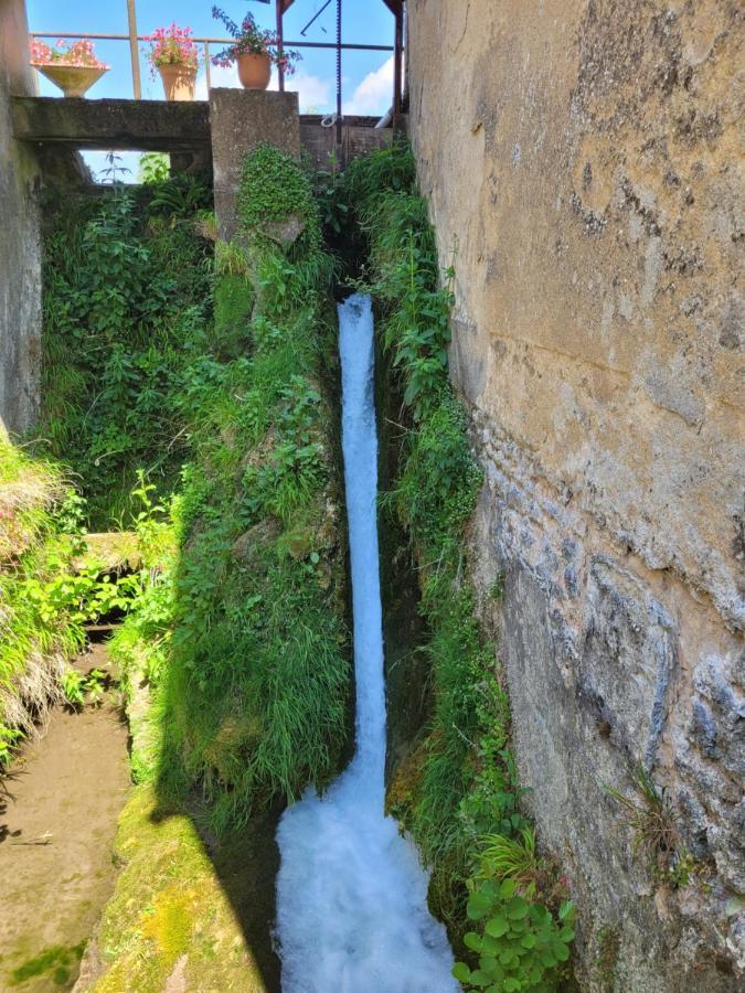 הוילה Brienon-sur-Armançon Le Moulin Neuf מראה חיצוני תמונה